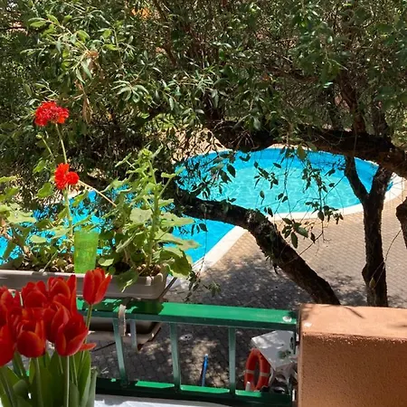 La Marina With Pool * Olbia