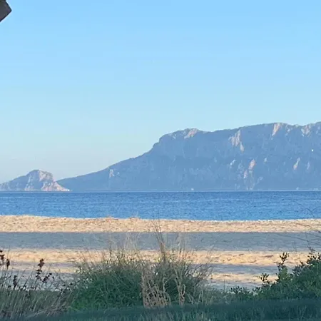 Apartamento La Marina With Pool