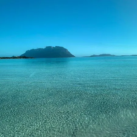 La Marina With Pool * Olbia