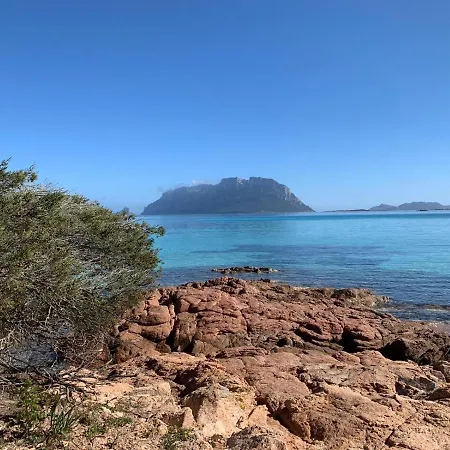 La Marina With Pool Appartamento Olbia