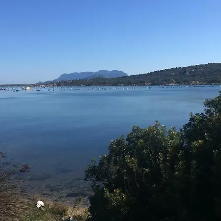 La Marina With Pool Apartment Olbia