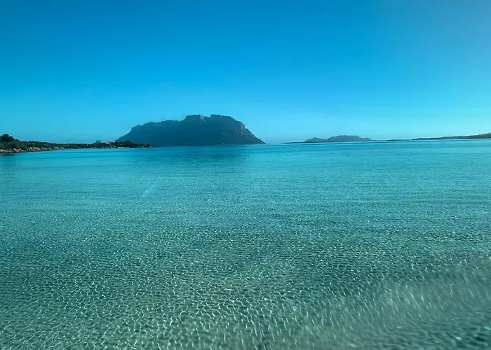 La Marina With Pool * Olbia