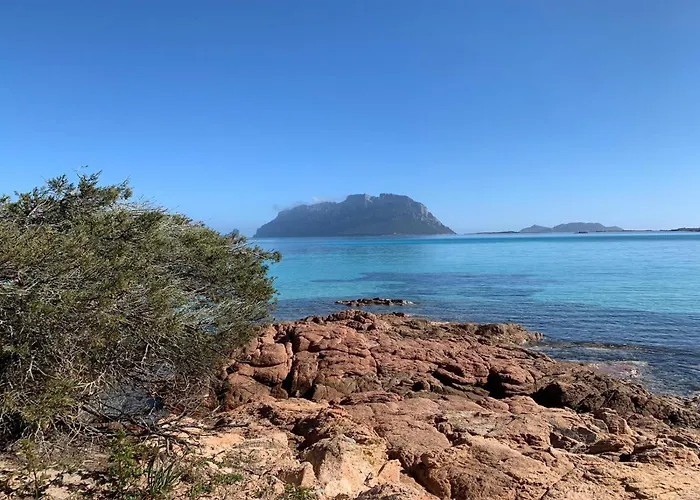 La Marina With Pool Appartamento Olbia